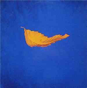 New Order - True Faith
