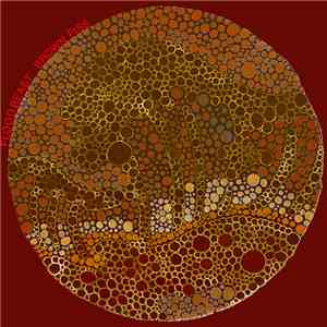 Flood Beast / Brown Piss - Split