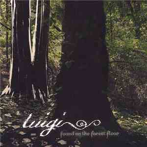 Luigi  - Found On The Forest Floor