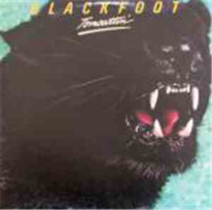 Blackfoot  - Tomcattin'