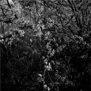 Coppice Halifax - Spring Blend