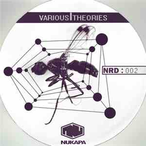 Various - Various Theories