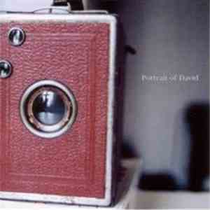 Portrait Of David - These Days Are Hard To Ignore