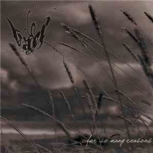Vaer - For So Many Reasons
