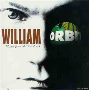 William Orbit - Water From A Vine Leaf
