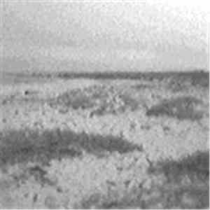Esem - Thinmute