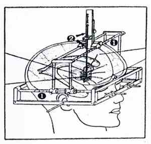 Berkowitz / Tea Party Violence - Brain Crane
