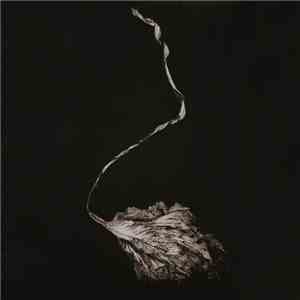 Maggie Rogers - Blood Ballet