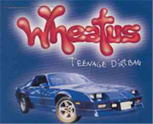 Wheatus - Teenage Dirtbag