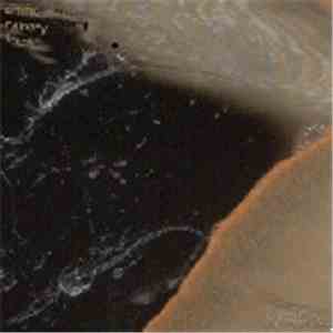 Artificial Memory Trace - CyclOcean