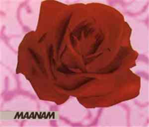 Maanam - Róża