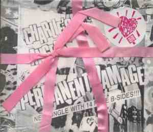 Charlie's Angels  - Permanent Damage