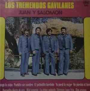 Los Tremendos Gavilanes Juan Y Salomon - No Tengo La Culpa