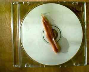 Various - The Sewer Anchovies Society Compilation