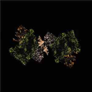 Woodsman  - Woodsman