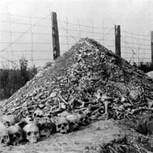 Rosy Palms / Fuckaufschwitz - Compost Of Ash And Bone