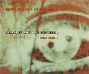 Secret Of Life - It's Only Real