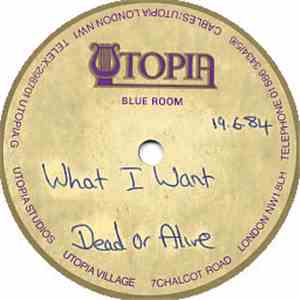 Dead Or Alive - What I Want