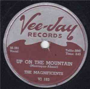 The Magnificents  - Up On The Mountain / Why Did She Go