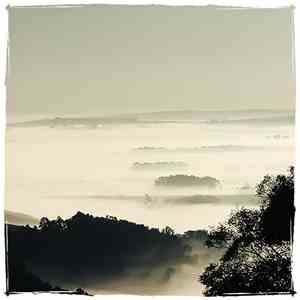 Andrew Backhouse - (Remix Of The) Dawn Chorus Near An Urban Stream