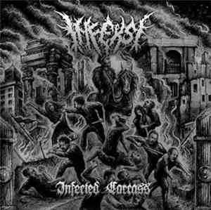 Infeksi - Infected Carcass