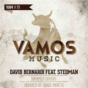 Stedman, Jorge Montia, David Bernardi - Summer Groove (Remixes)
