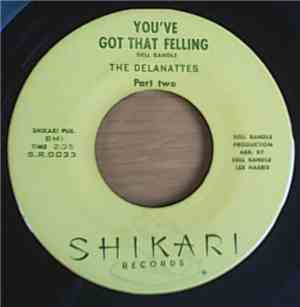 The Delanattes - You've Got That Feeling