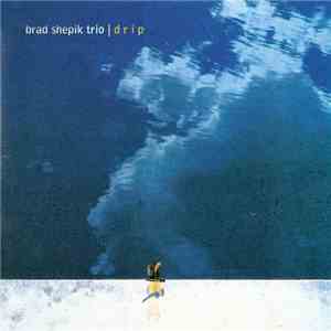 Brad Shepik Trio - Drip