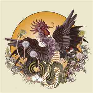Brume  - Rooster