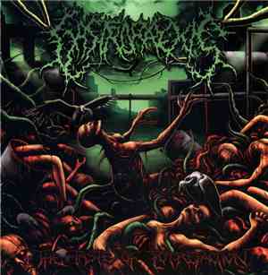 Gastrorrexis - The Taste Of Putrefaction