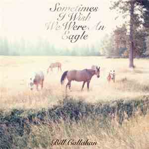 Bill Callahan - Sometimes I Wish We Were An Eagle