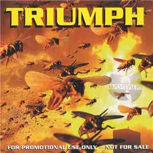 Wu-Tang Clan Featuring CappaDonna - Triumph