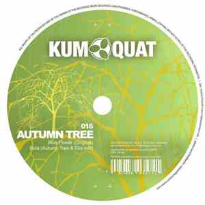 Autumn Tree - Buta