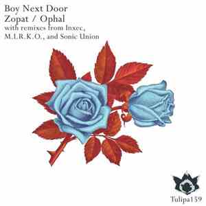 Boy Next Door - Zopat / Ophal