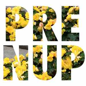 Pre Nup - Wrong Your