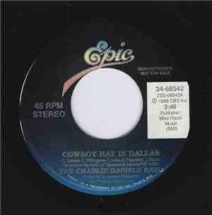 The Charlie Daniels Band - Cowboy Hat In Dallas