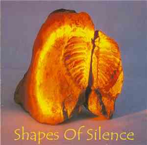 Vlastislav Matoušek - Shapes Of Silence