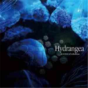 a crowd of rebellion - Hydrangea