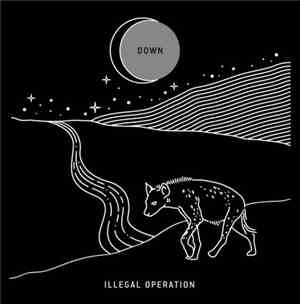 Illegal Operation  - Down