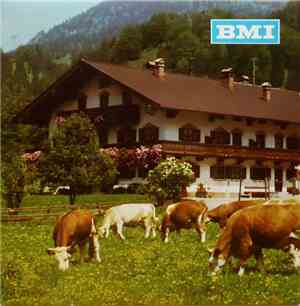 Roy Etzel Und Seine Band, Alfons Bauer Und Seine Almdudler - Bayern Pop