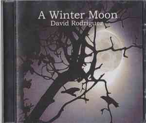 David Rodriguez  - A Winter Moon