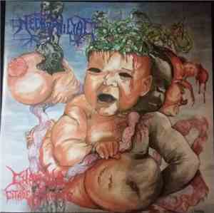 Necrophiliac - Chaopula. Citadel Of Mirrors