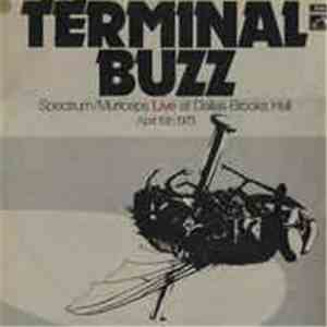Spectrum  / Murtceps - Terminal Buzz