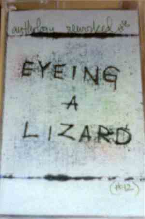 Eyeing A Lizard - Anthology Reworked