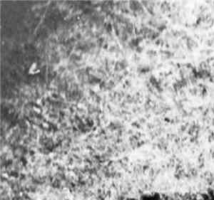 God Destroyer - III