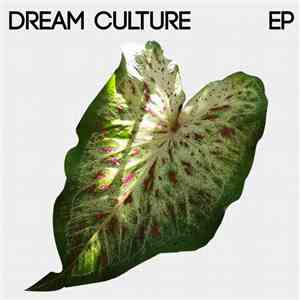 Dream Culture  - Dream Culture