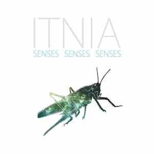 Itnia - Senses Senses Senses
