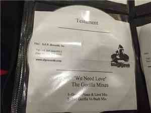 Testament - We Need Love (Remix)
