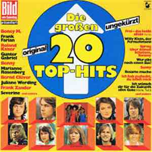Various - Die Grossen 20 Top-Hits