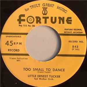 Little Ernest Tucker - Too Small To Dance / Gonna Get Me A Satellite